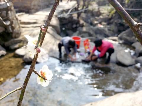 "20155510629365.jpg"