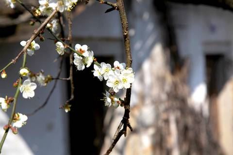 "201555101139941.jpg"