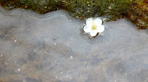 "201555101152366.jpg"